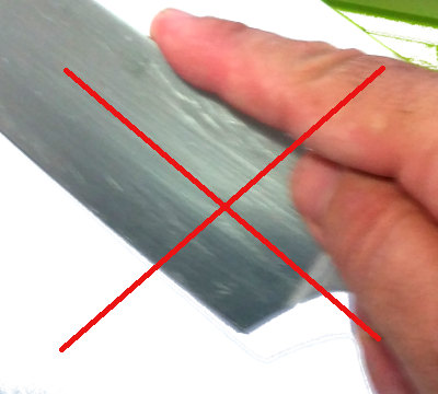 how to hold a knife properly image